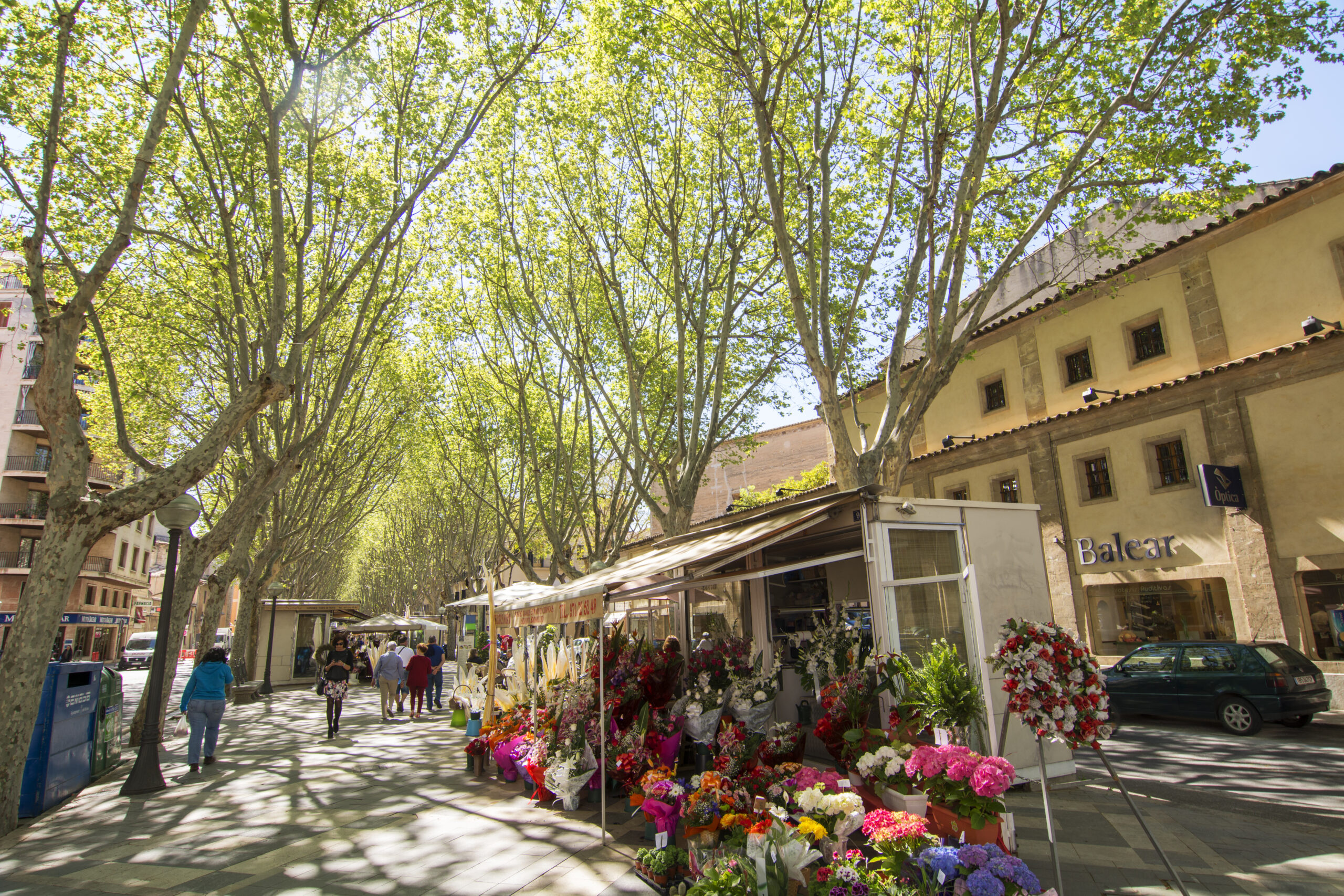 Ramblas de Palma de Mallorca
