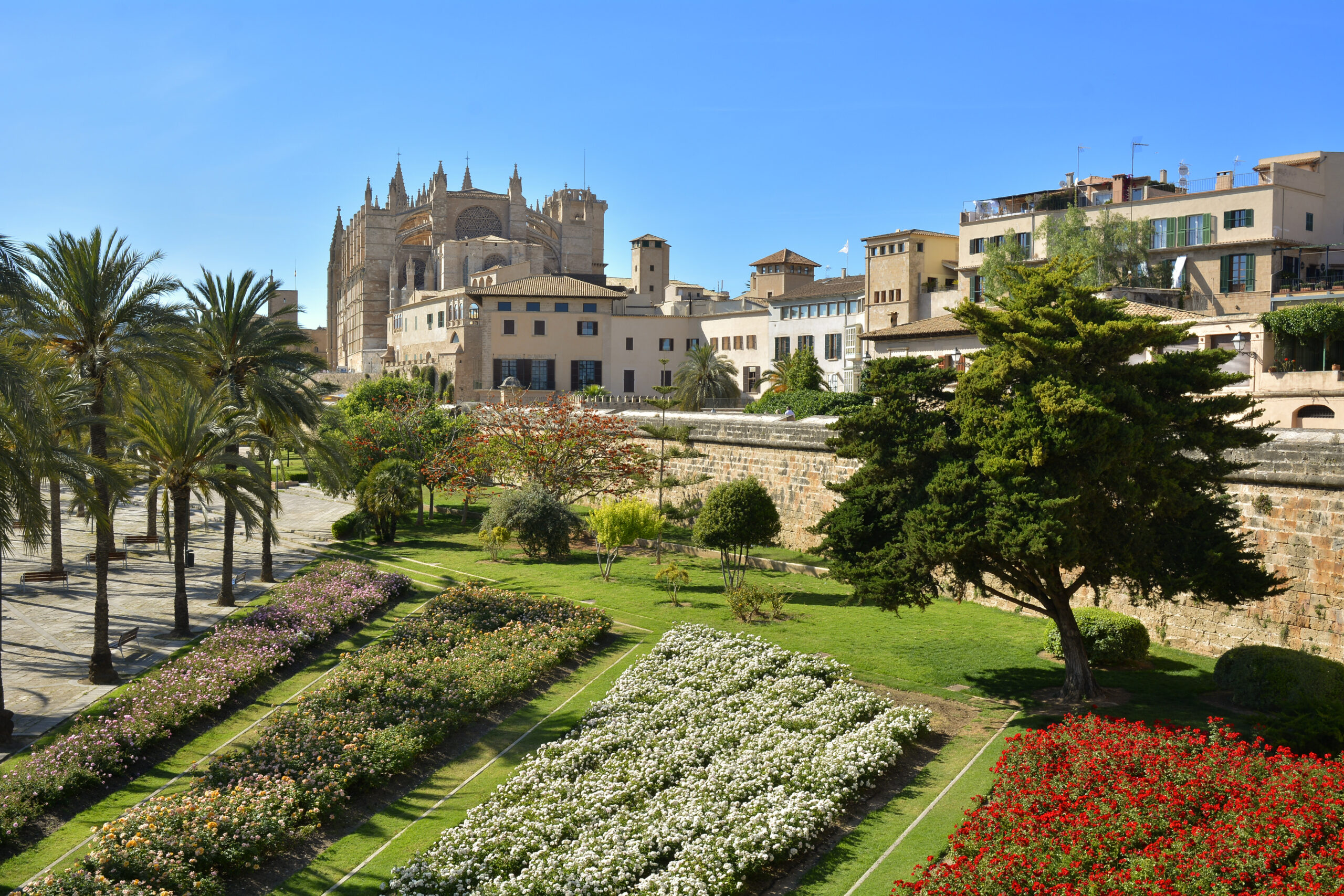 Palma Old Town and Cathedral