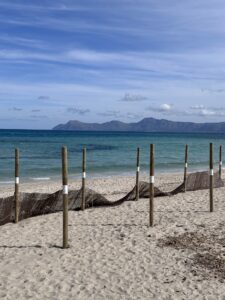 Muro Area In Village House In Muro With Pool