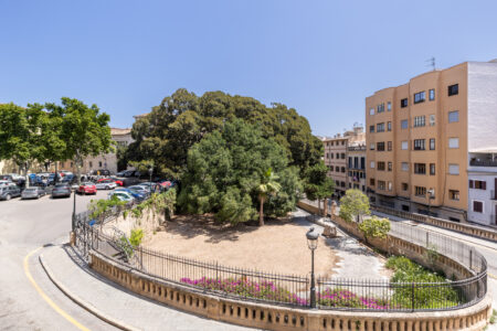 Neighbourhood In Renovated Three Bedroom Apartment Near Ramblas