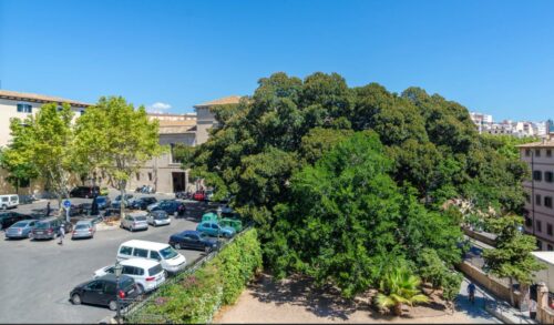 Neighbourhood In Three Bedroom Apartment In Palma Centre Next To Ramblas