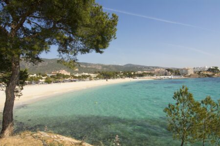 Palmanova Beach Area