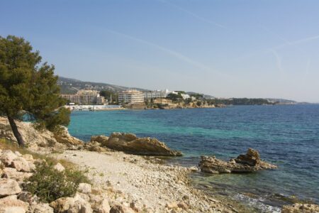 Palmanova Beach Area