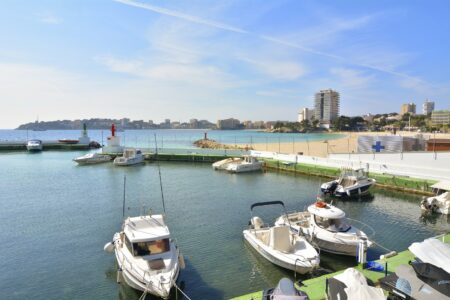 Palmanova Beach Area