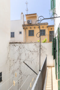 Patio In Renovated Three Bedroom Apartment Near Ramblas